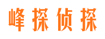 狮子山市场调查